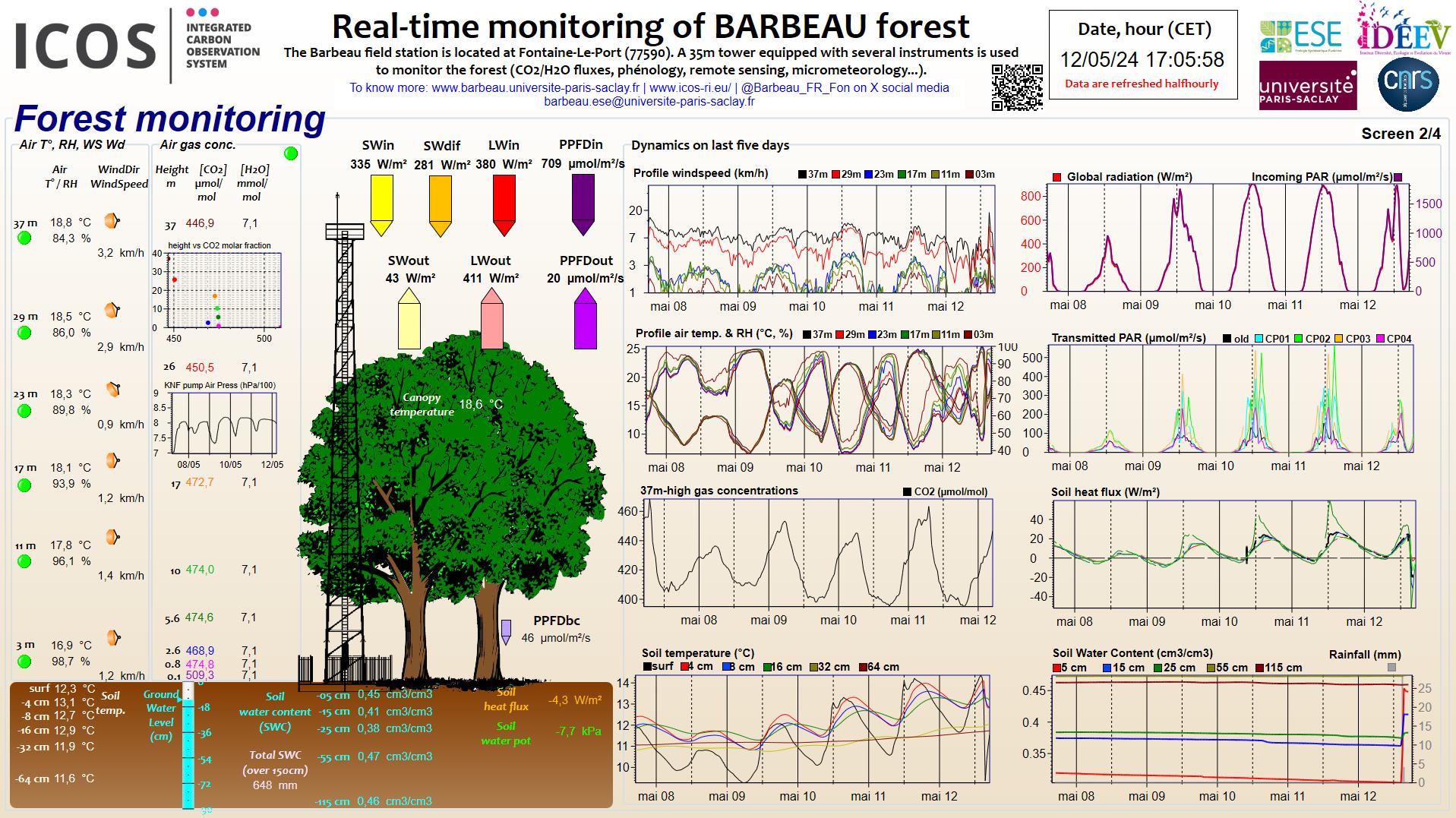 Forest data